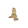 Pony Boy Horse