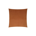 Venture Throw Pillow