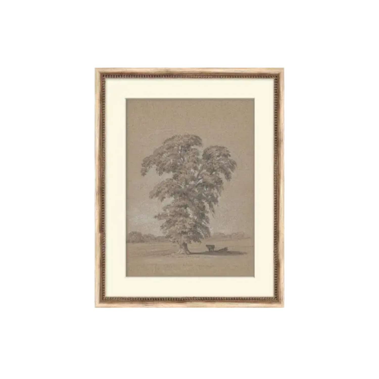 Beneath the Cool Boughs | In Shoppe Pickup Only