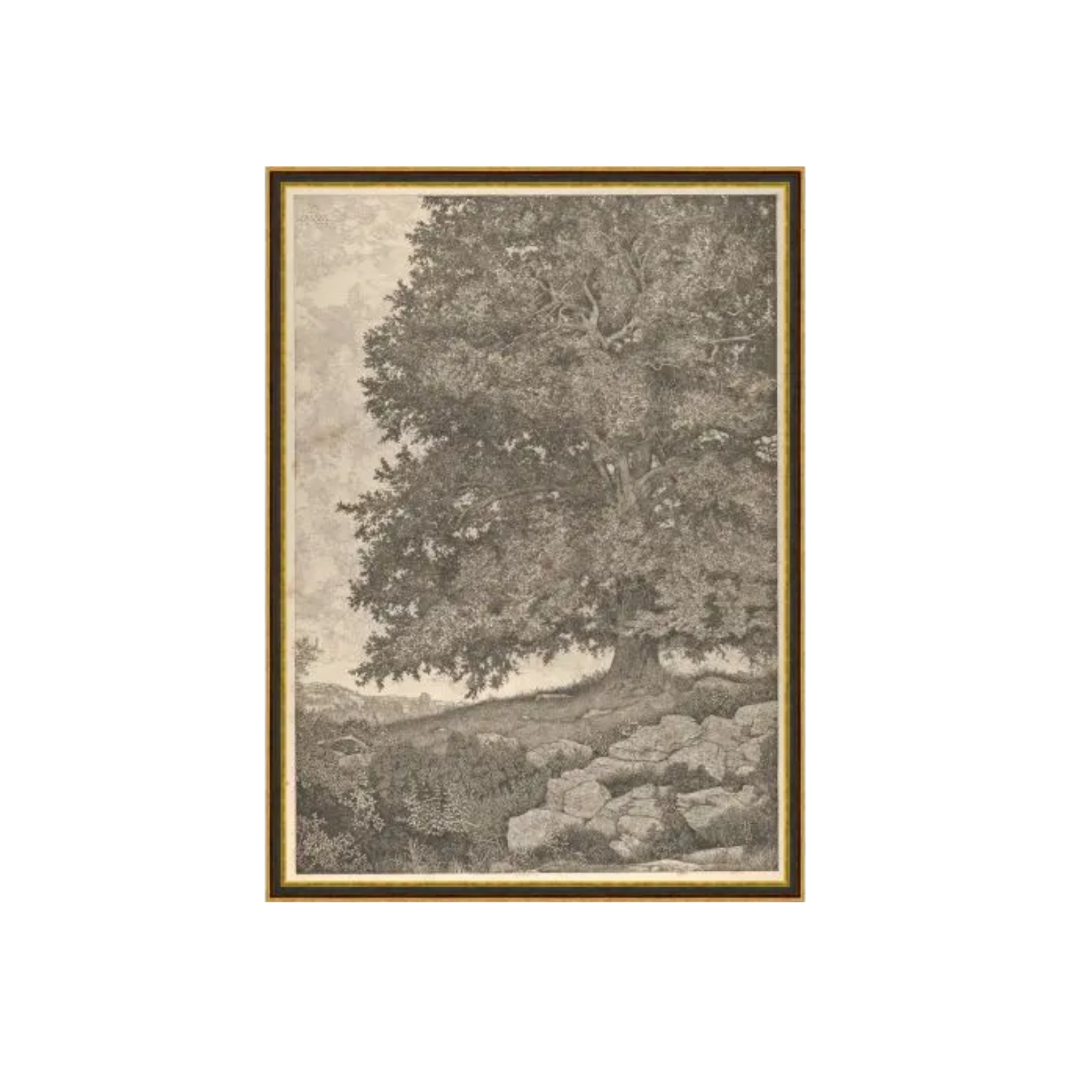 Grandfathers Tree | In Shoppe Pickup Only