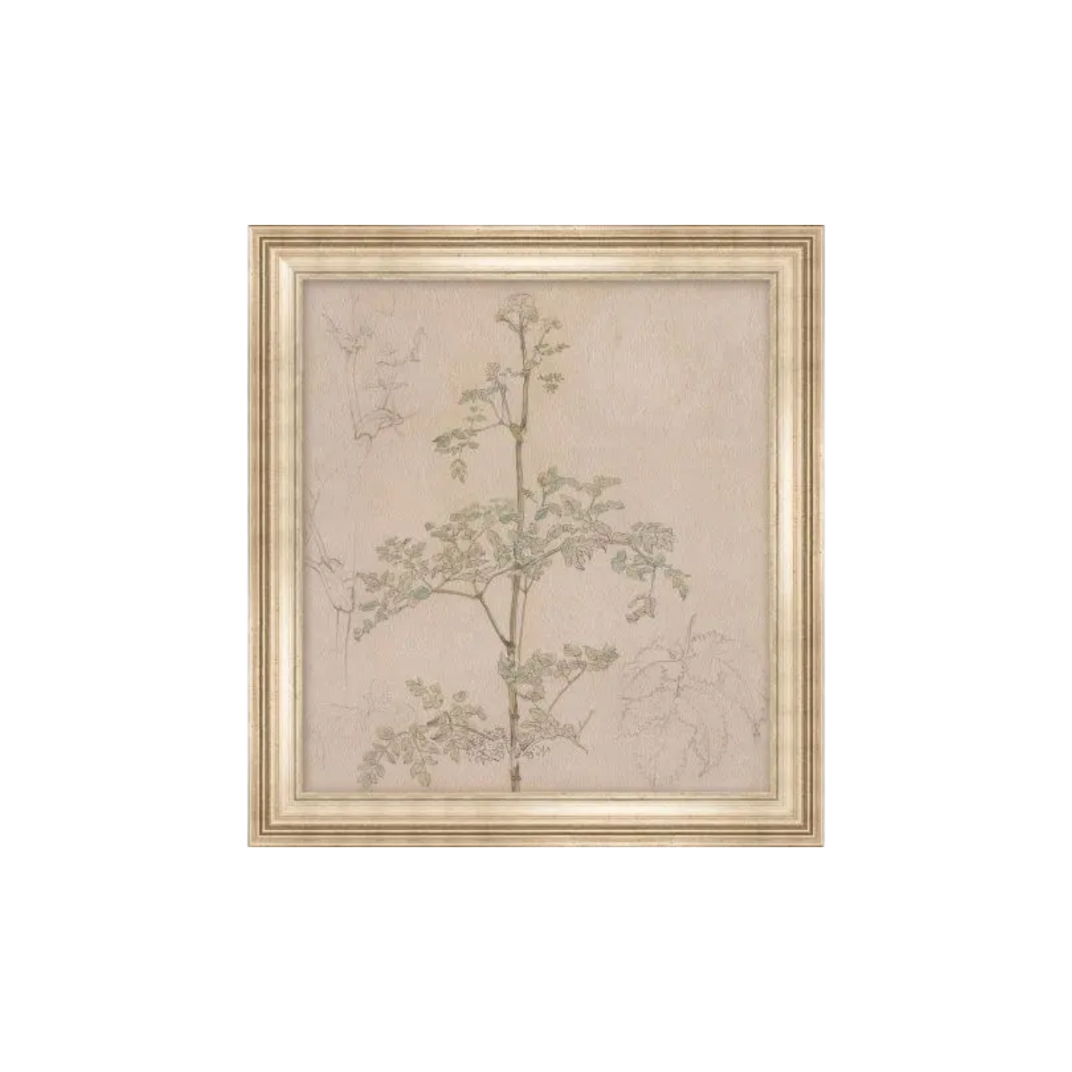 Parsley Sprig | In Shoppe Pickup Only