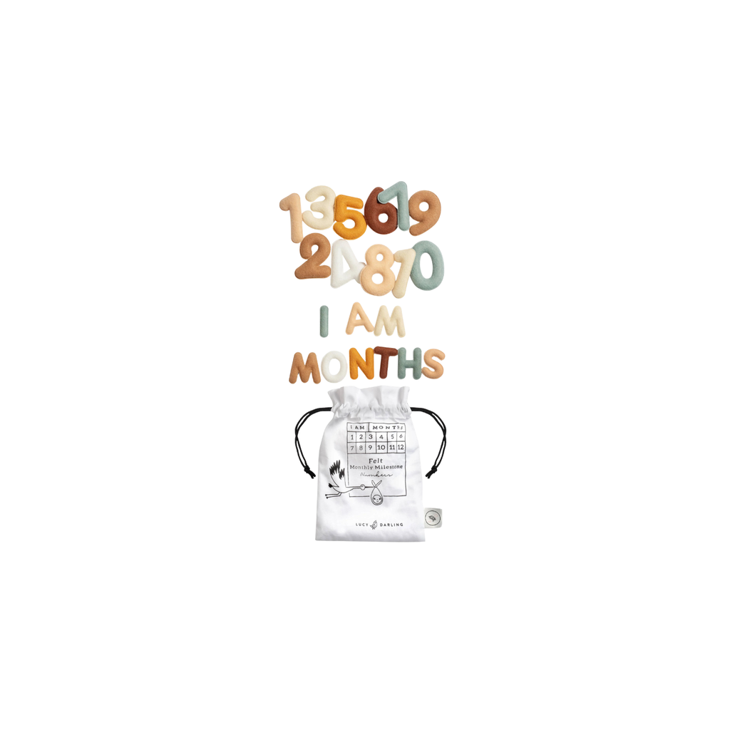 Monthly Milestone Felt Letters