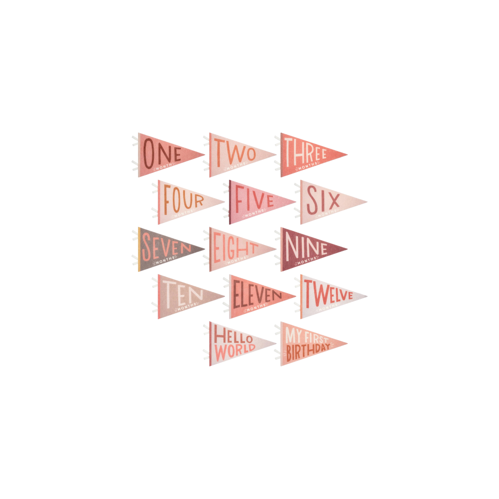 Blushing Meadow Baby Milestone Pennant