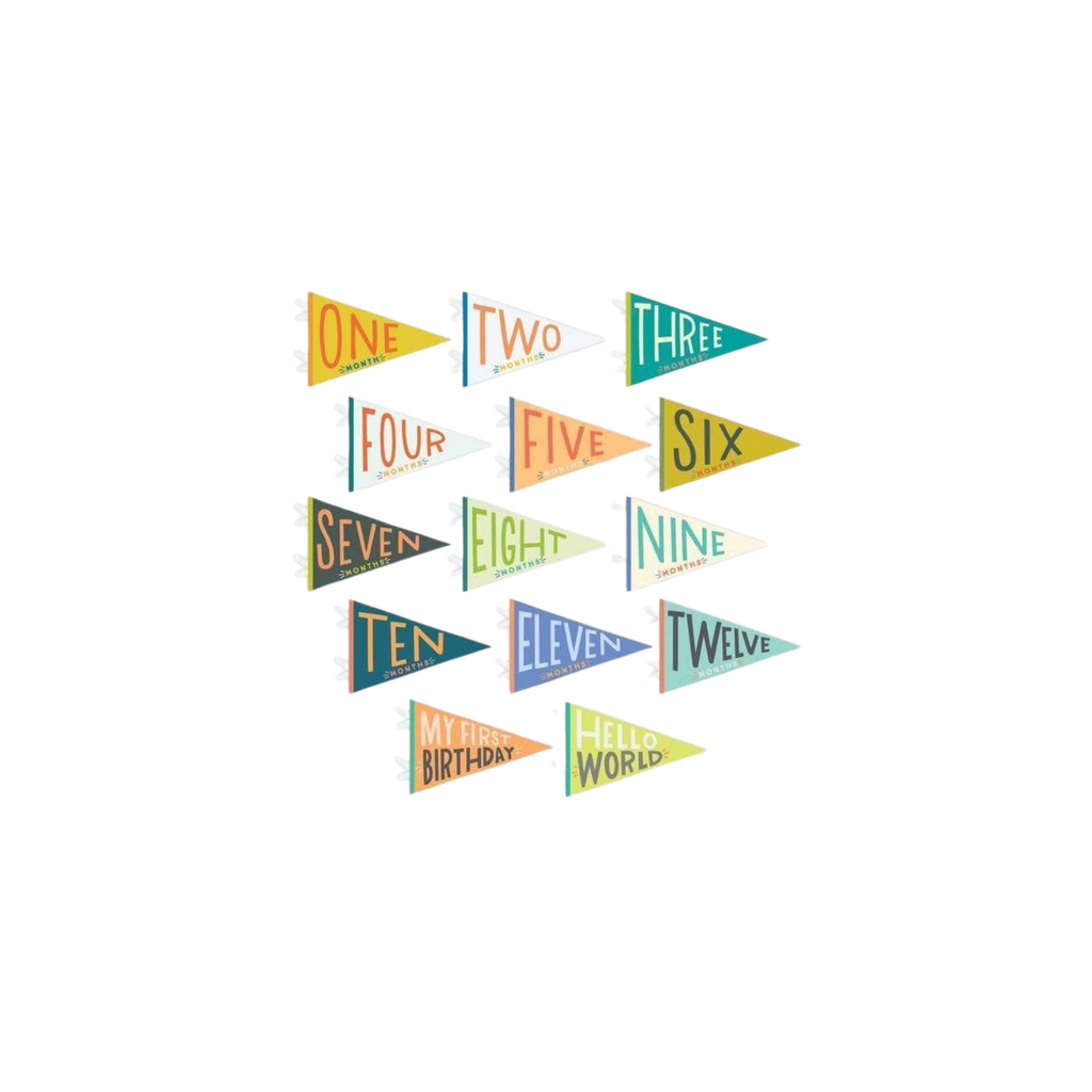 Little Kaleidoscope Baby Milestone Pennant