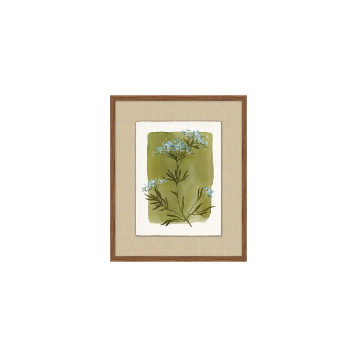 Heirloom Flora 7 | In Shoppe Pickup Only