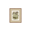 Heirloom Flora 1 | In Shoppe Pickup Only