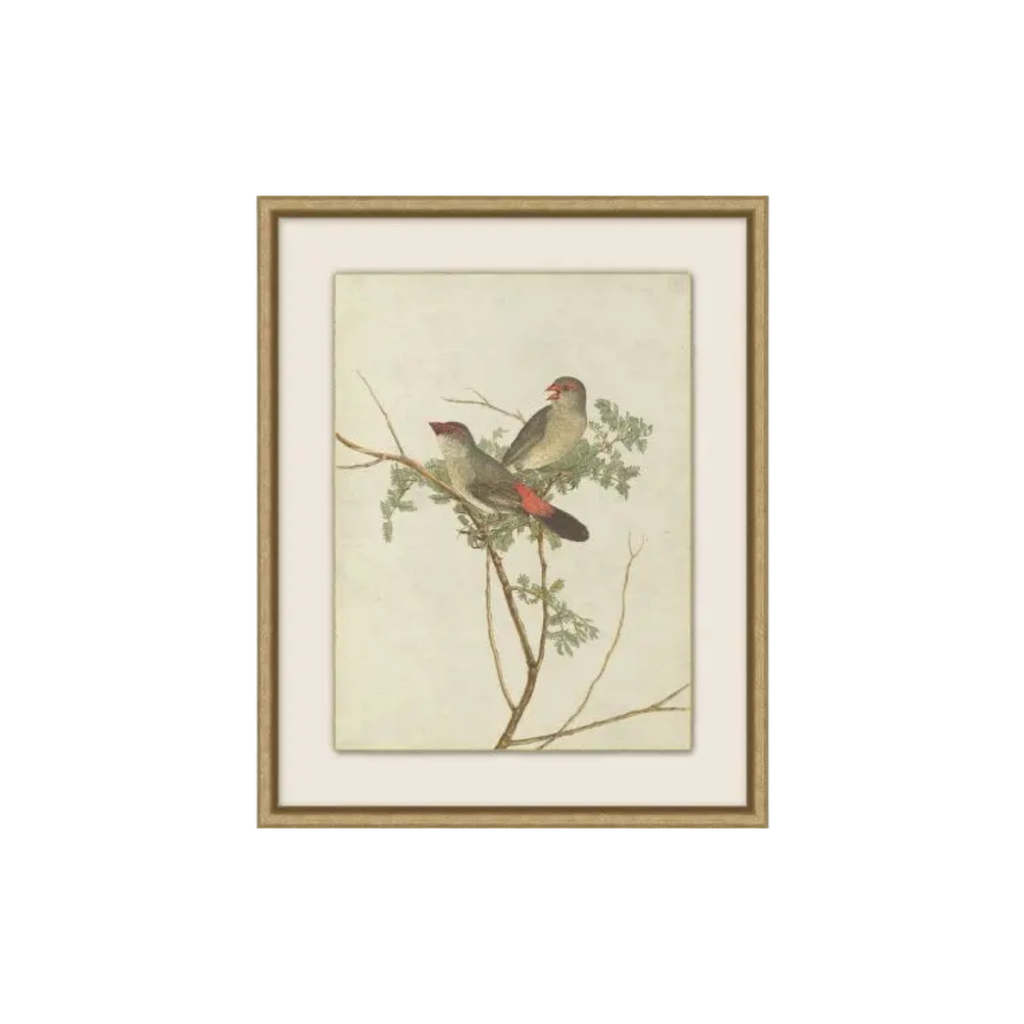 Birds of Autumn 2