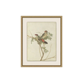Birds of Autumn 2