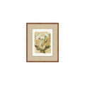 Heirloom Flora 6 | In Shoppe Pickup Only