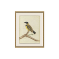 Birds of Autumn 1