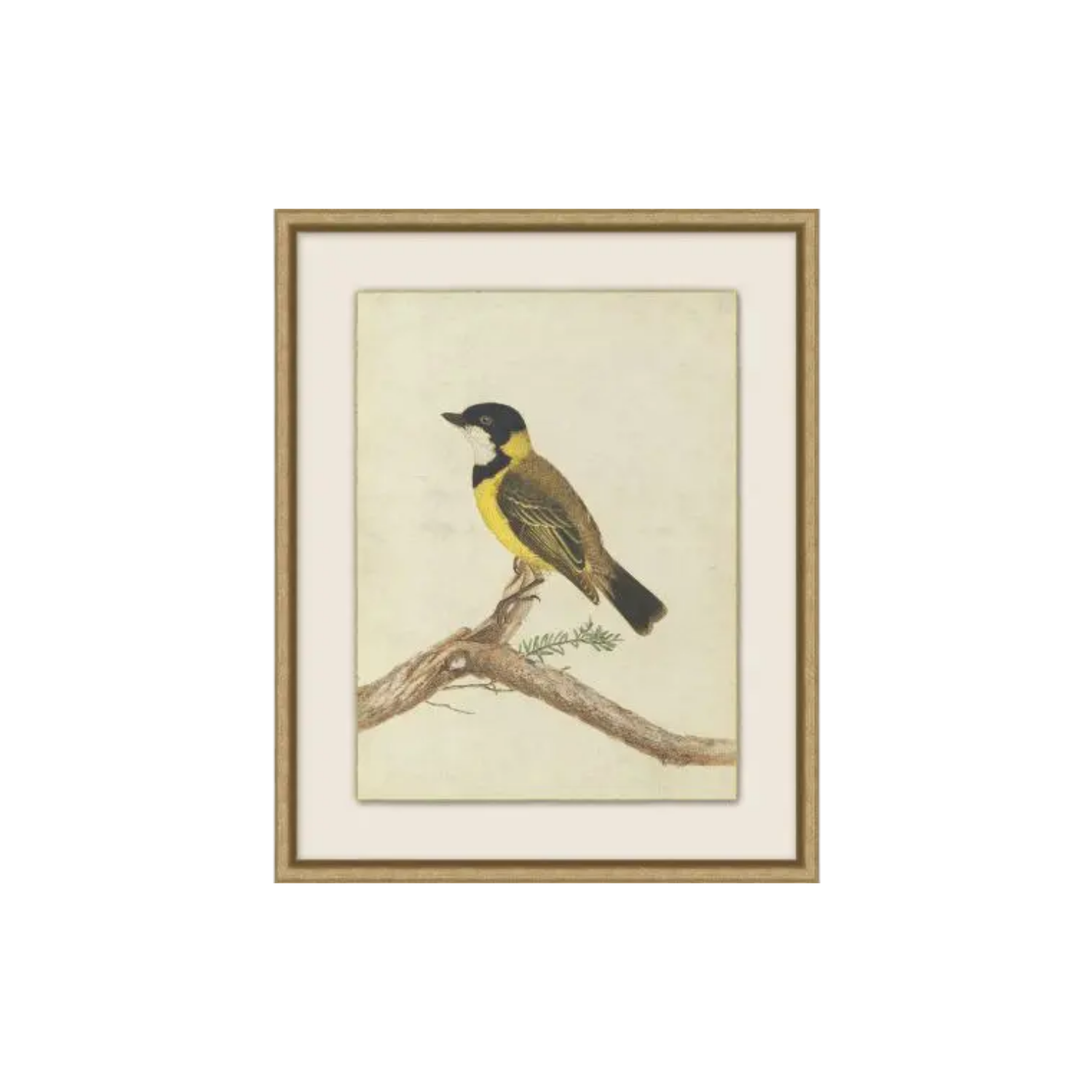 Birds of Autumn 1