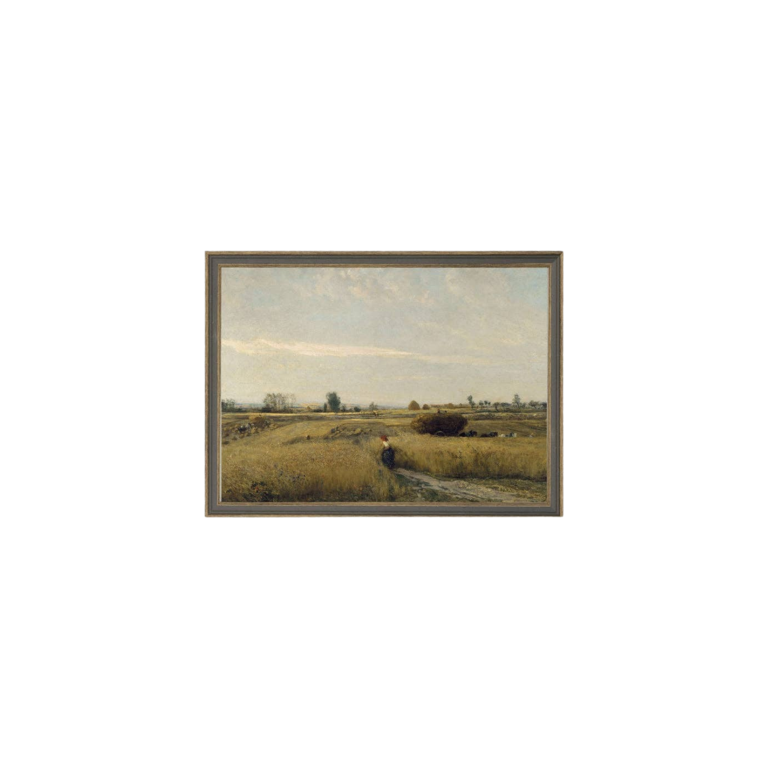 Harvest Landscape