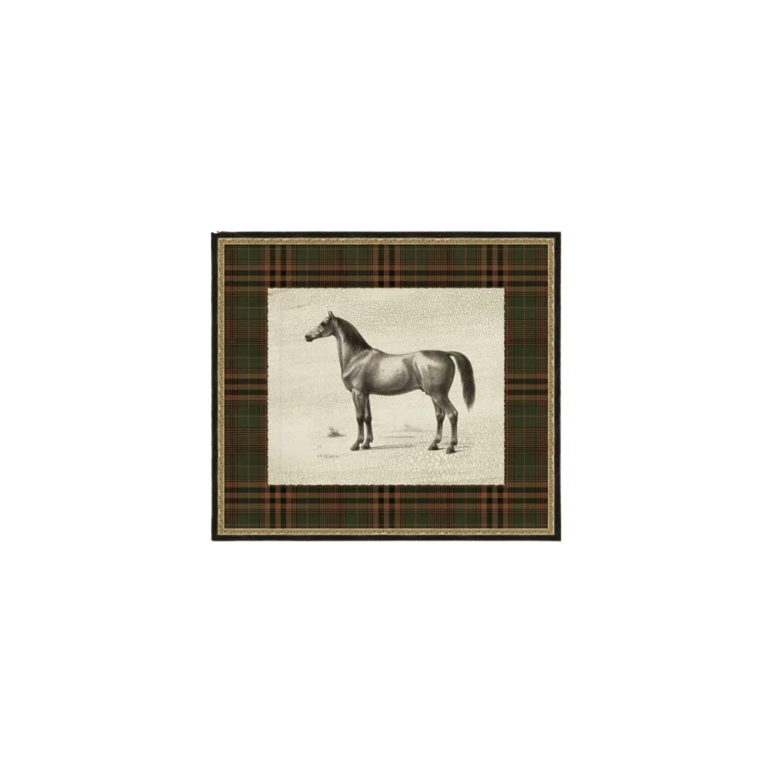 Patterned Dignity 2 | In Shoppe Pickup Only