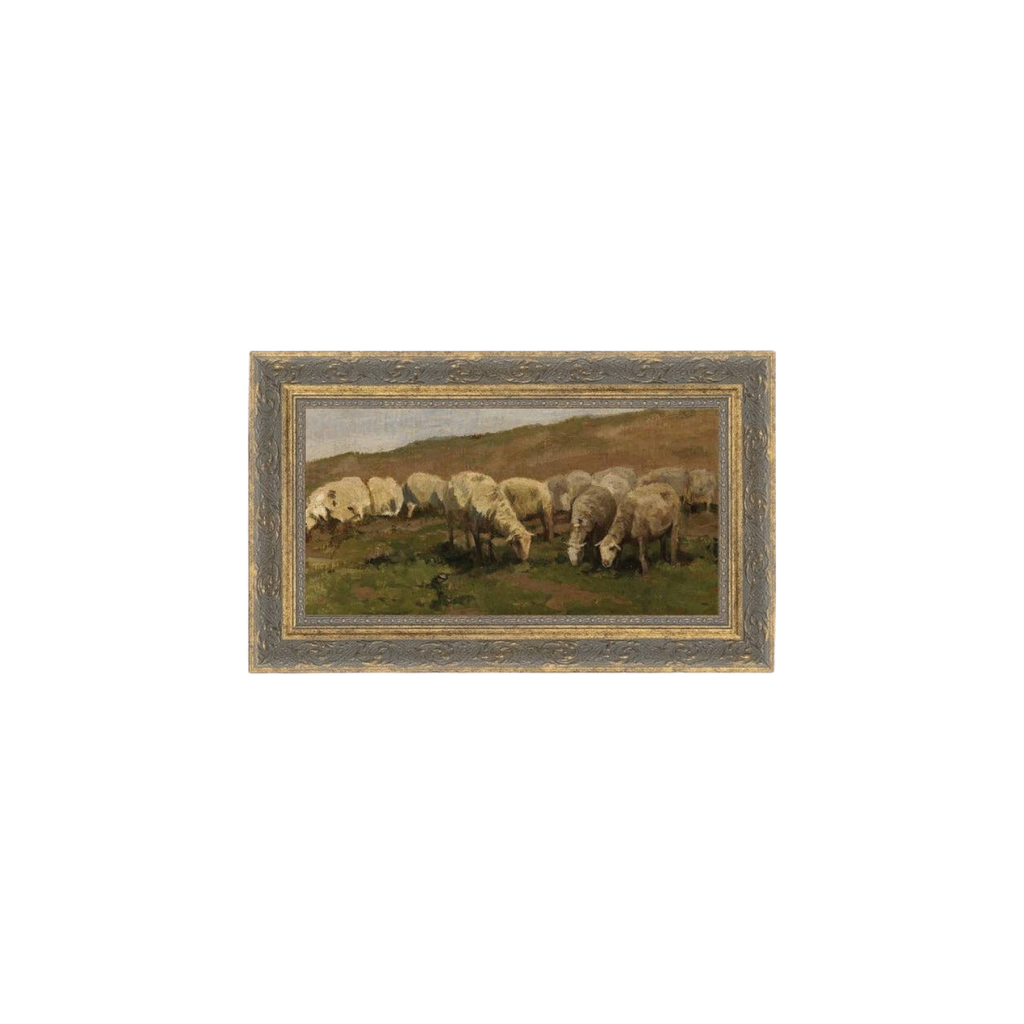 Sheep Landscape