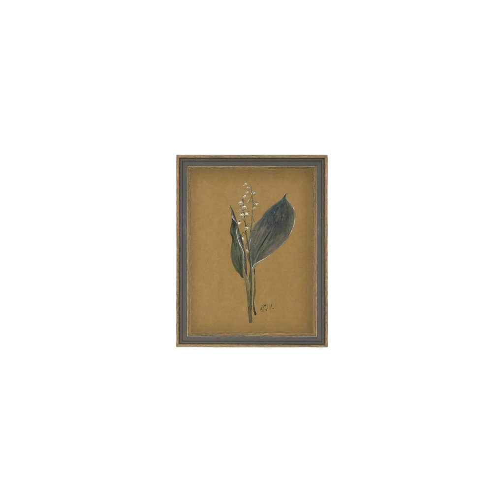 Lily On Brown