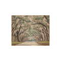 Under the Spanish Moss | In Shoppe Pickup Only
