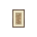 Whispering Willows | In Shoppe Pickup Only