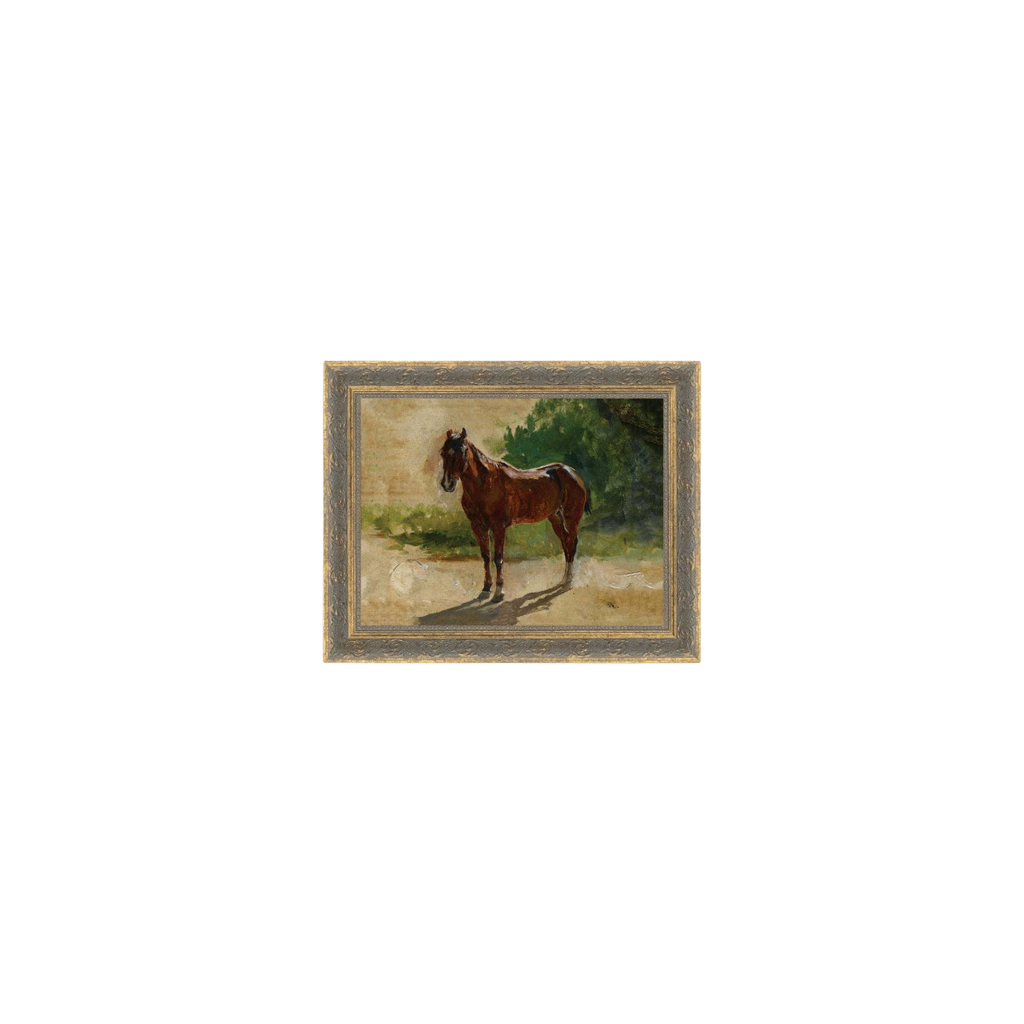 Brown Horse Study