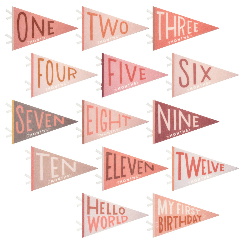 Blushing Meadow Baby Milestone Pennant