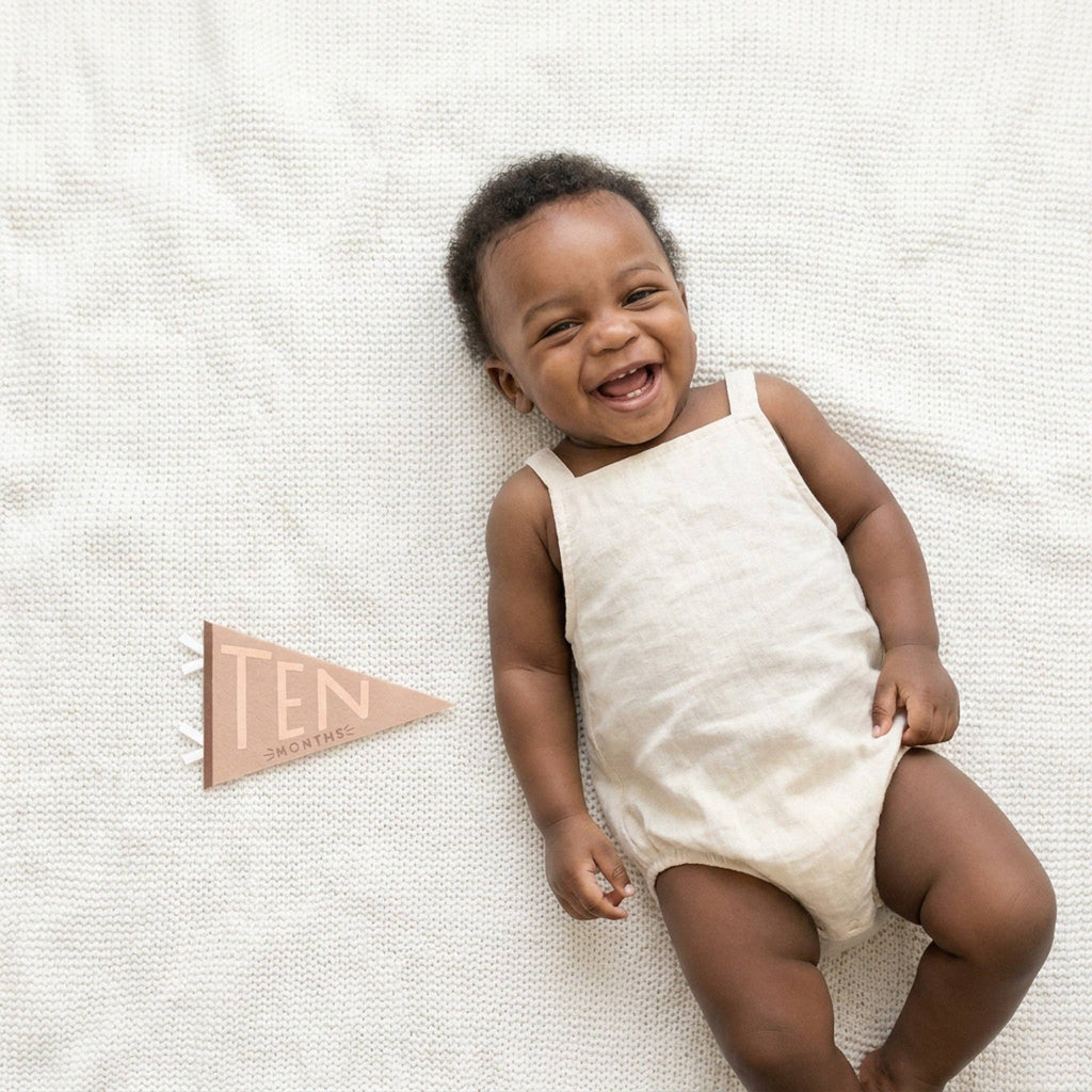 Mountain Fields Baby Milestone Pennant