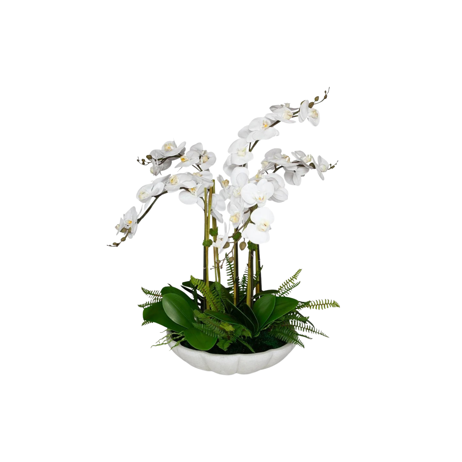 Flourish Orchid Centerpiece | In Shoppe Pickup Only