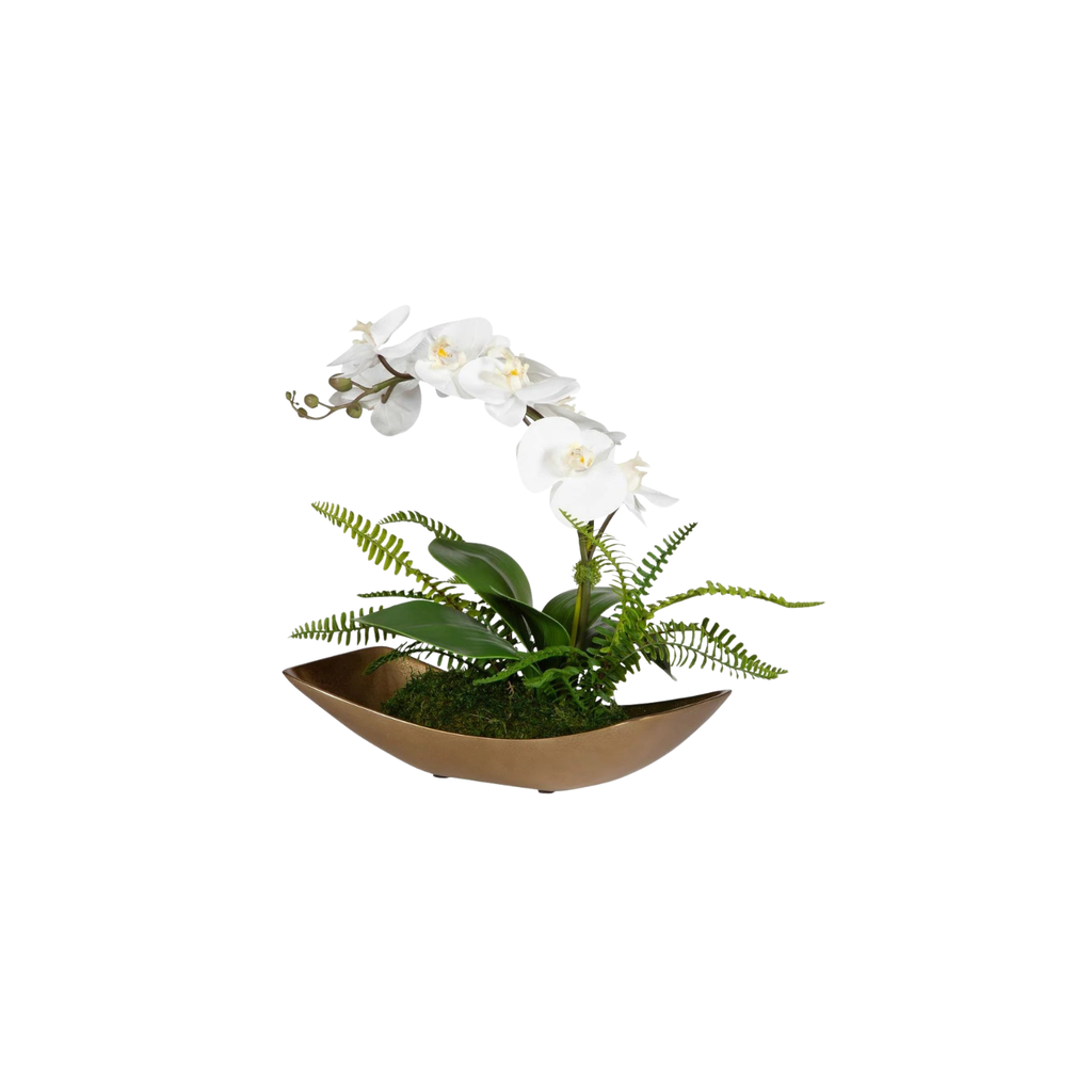 Transcend Orchid | In Shoppe Pickup Only