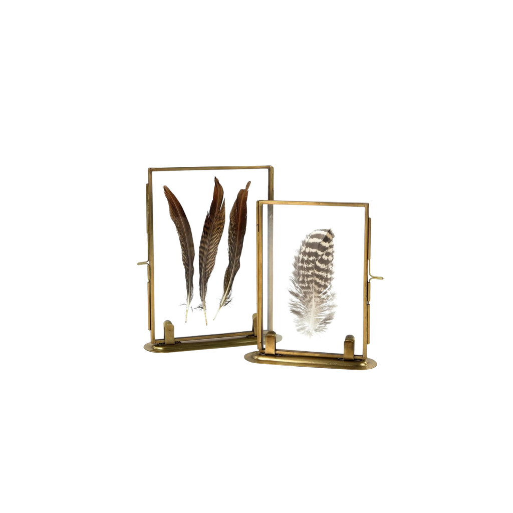 Brass Frame & Feather | In Shoppe Pickup Only