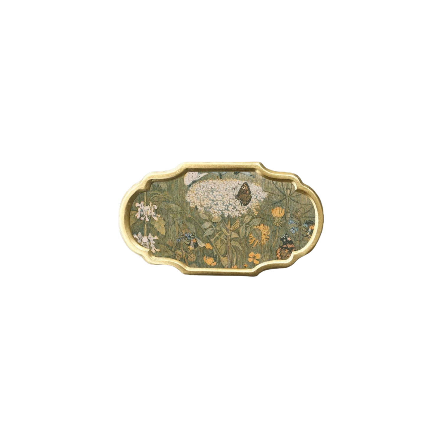 Flowers and Butterflies