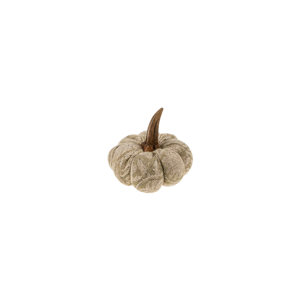 Screen Print Pumpkin | Small