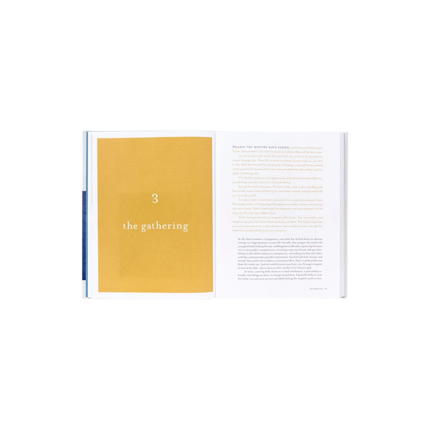 First Forty Days: The Essential Art of Nourishing | In Shoppe Pickup Only