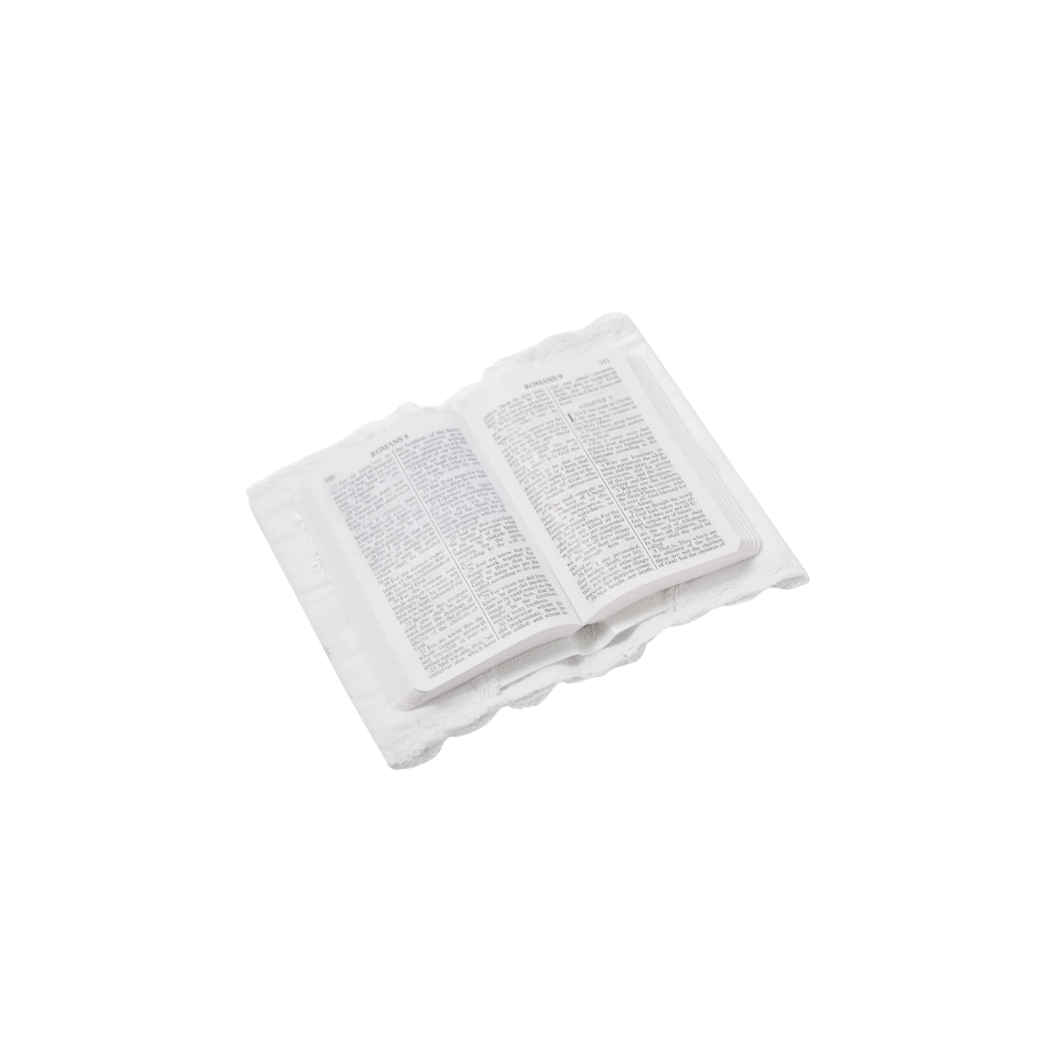 Eyelet Heirloom Bible