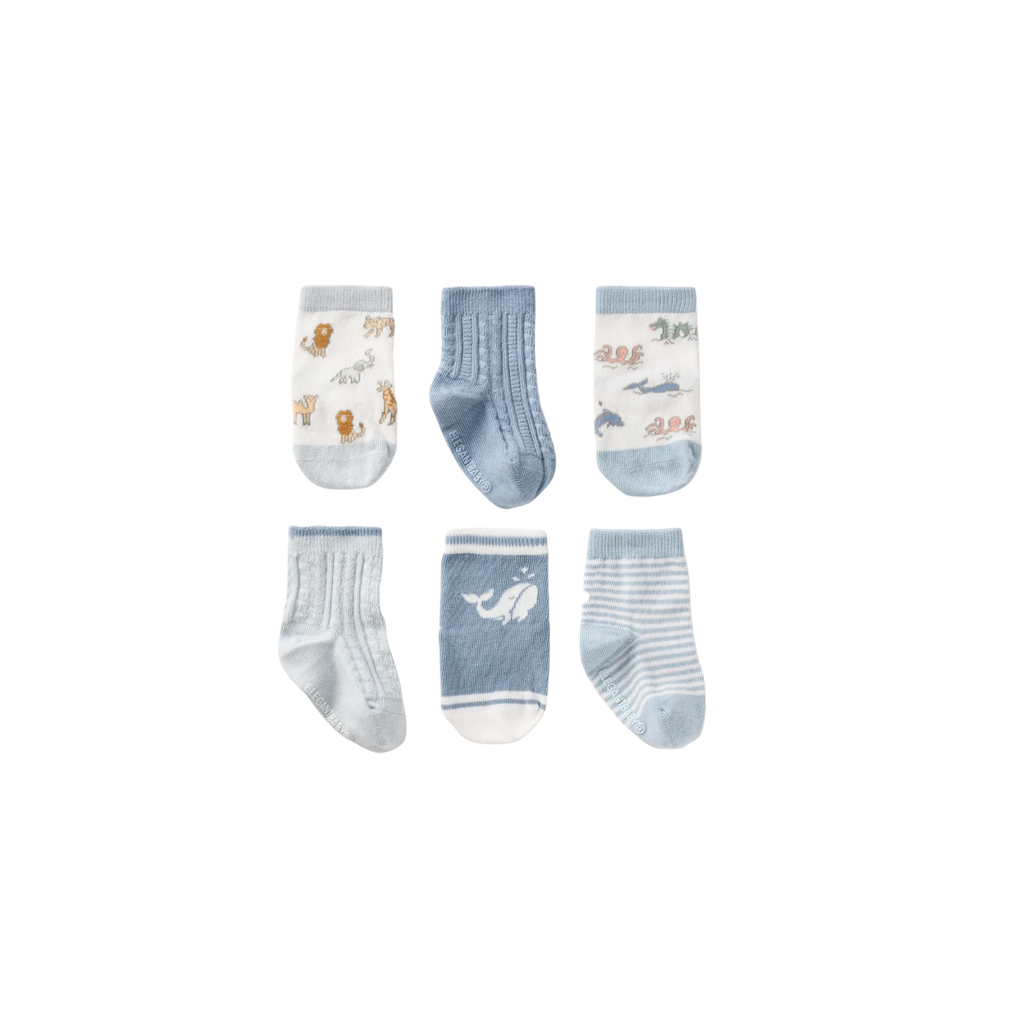 World Explorer Baby Sock Set