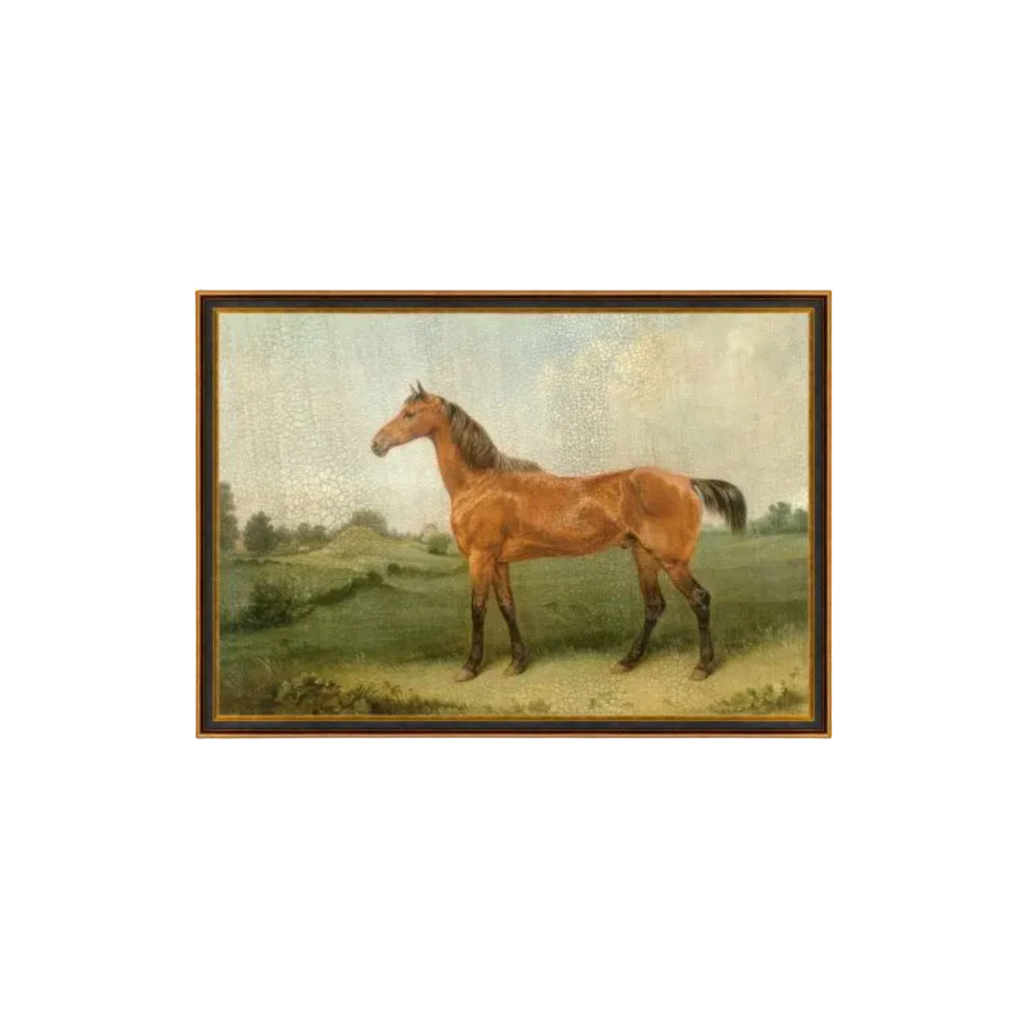 Horse Art | In Shoppe Pickup Only