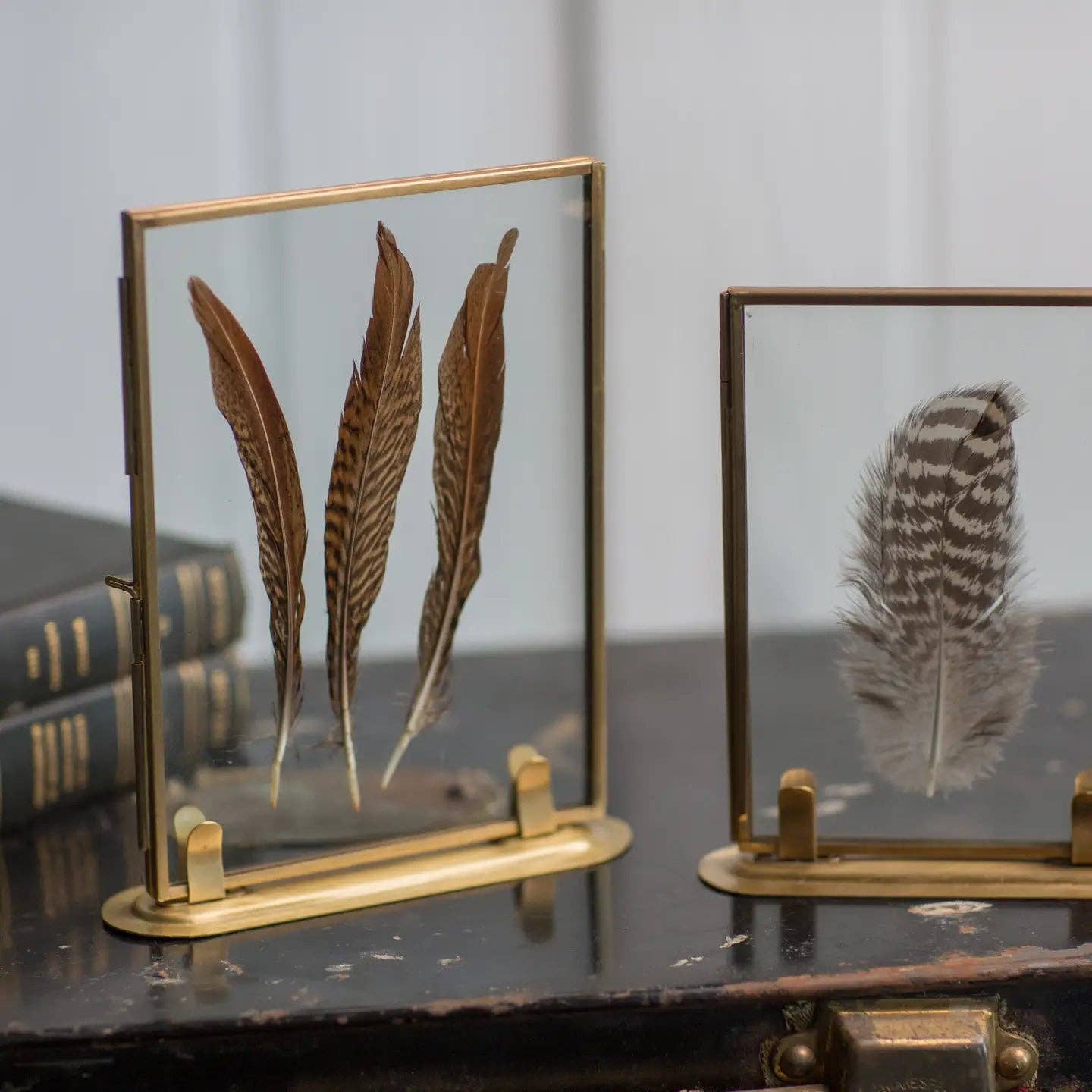 Brass Frame & Feather | In Shoppe Pickup Only