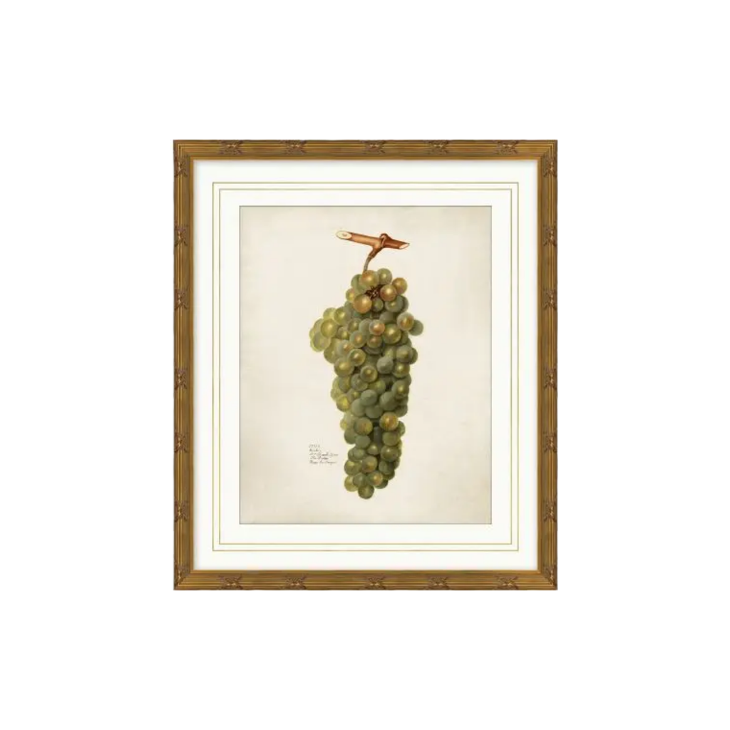 Pomological Fruits | In Shoppe Pickup Only