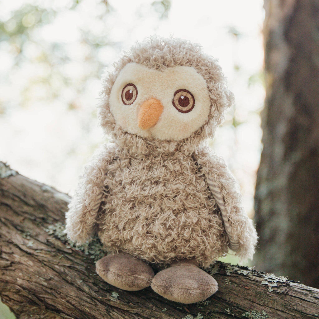 Blink Owl