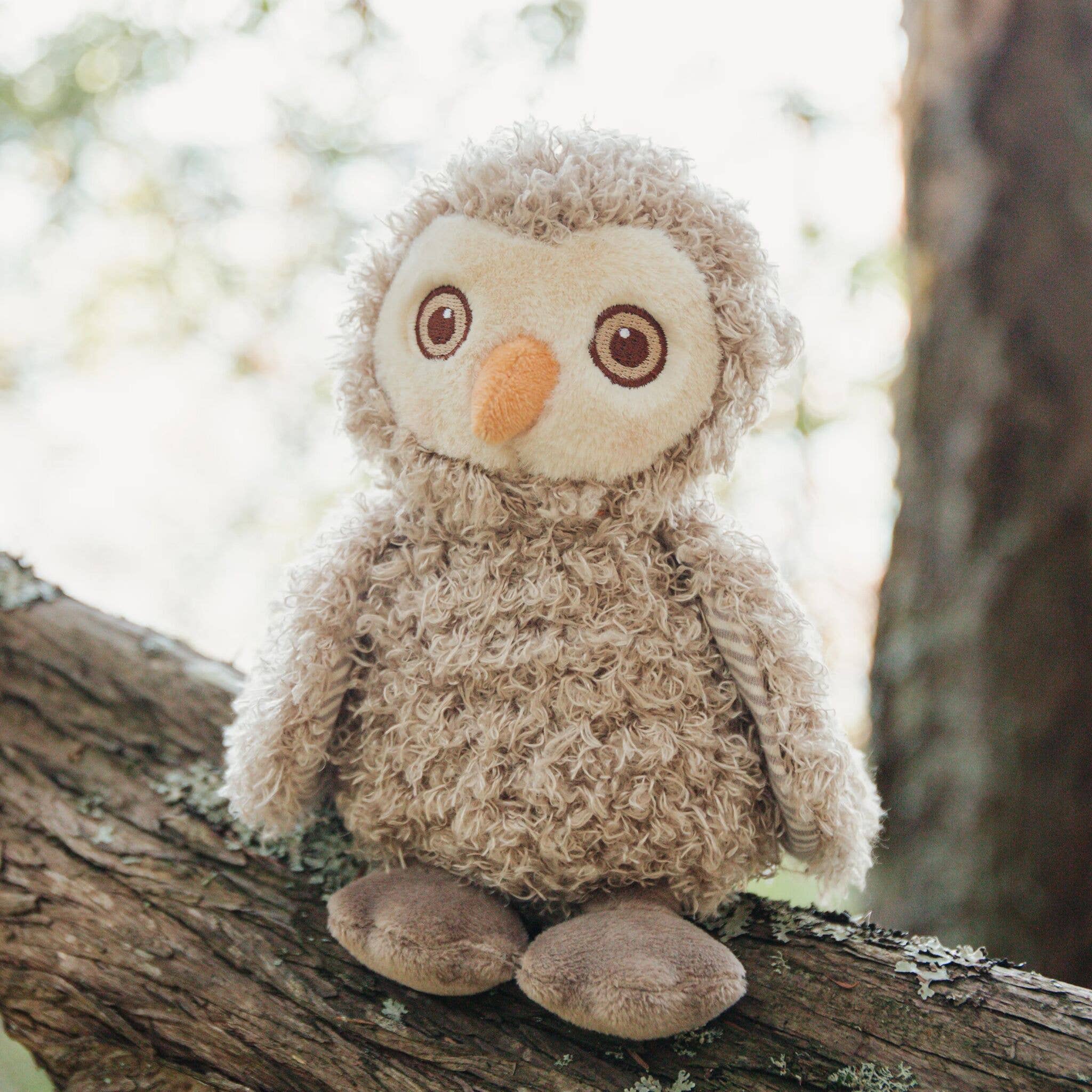 Blink Owl