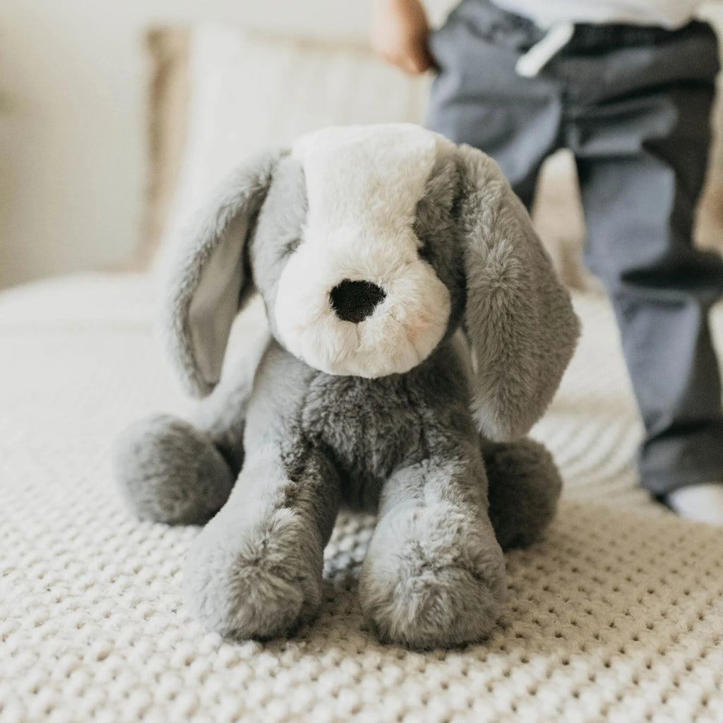Sweet Floppy Mutt | Steel
