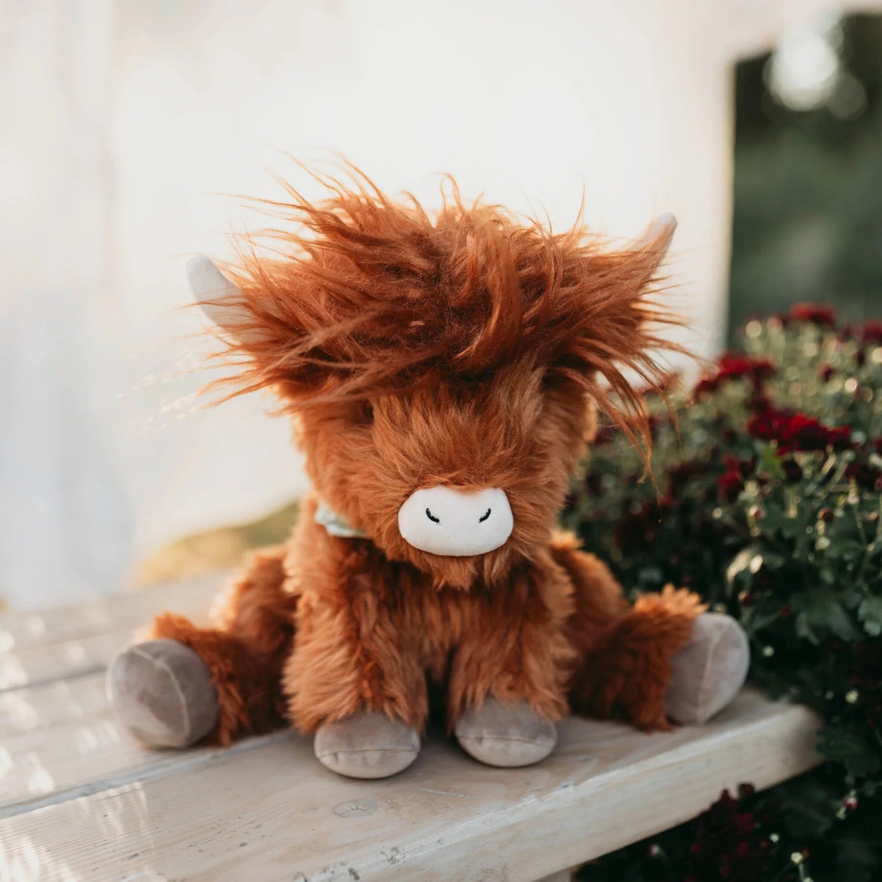 Hamish the Highland Cow | Orange