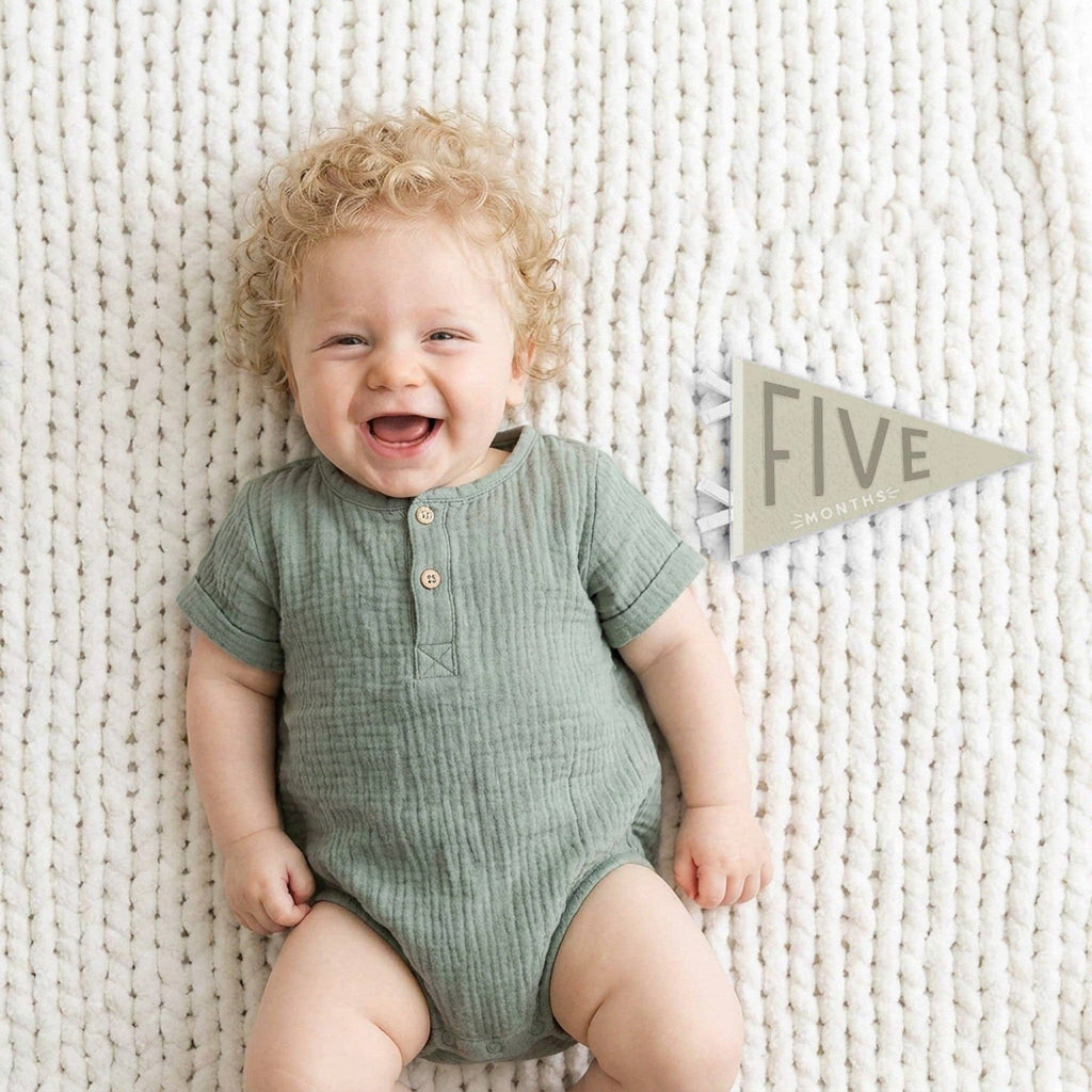 Mountain Fields Baby Milestone Pennant