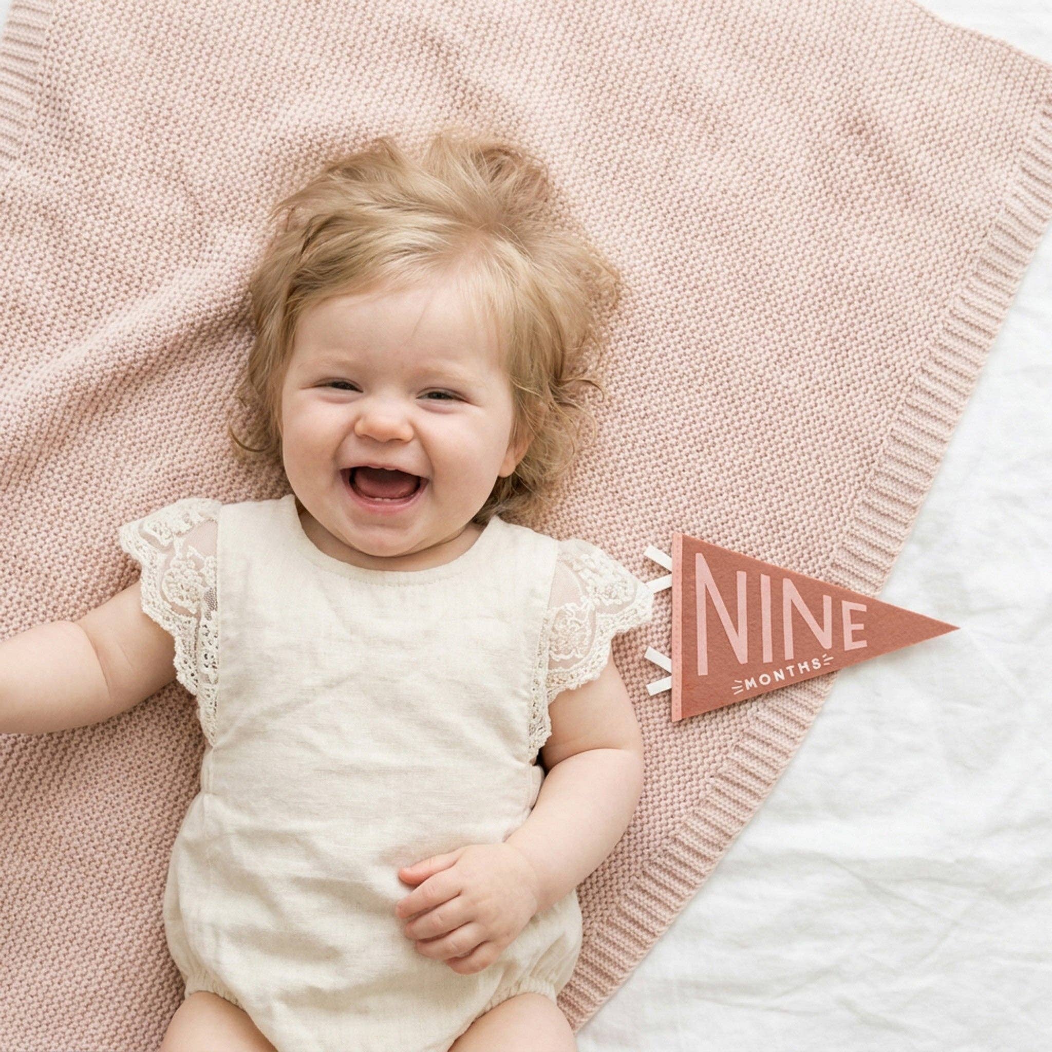 Blushing Meadow Baby Milestone Pennant