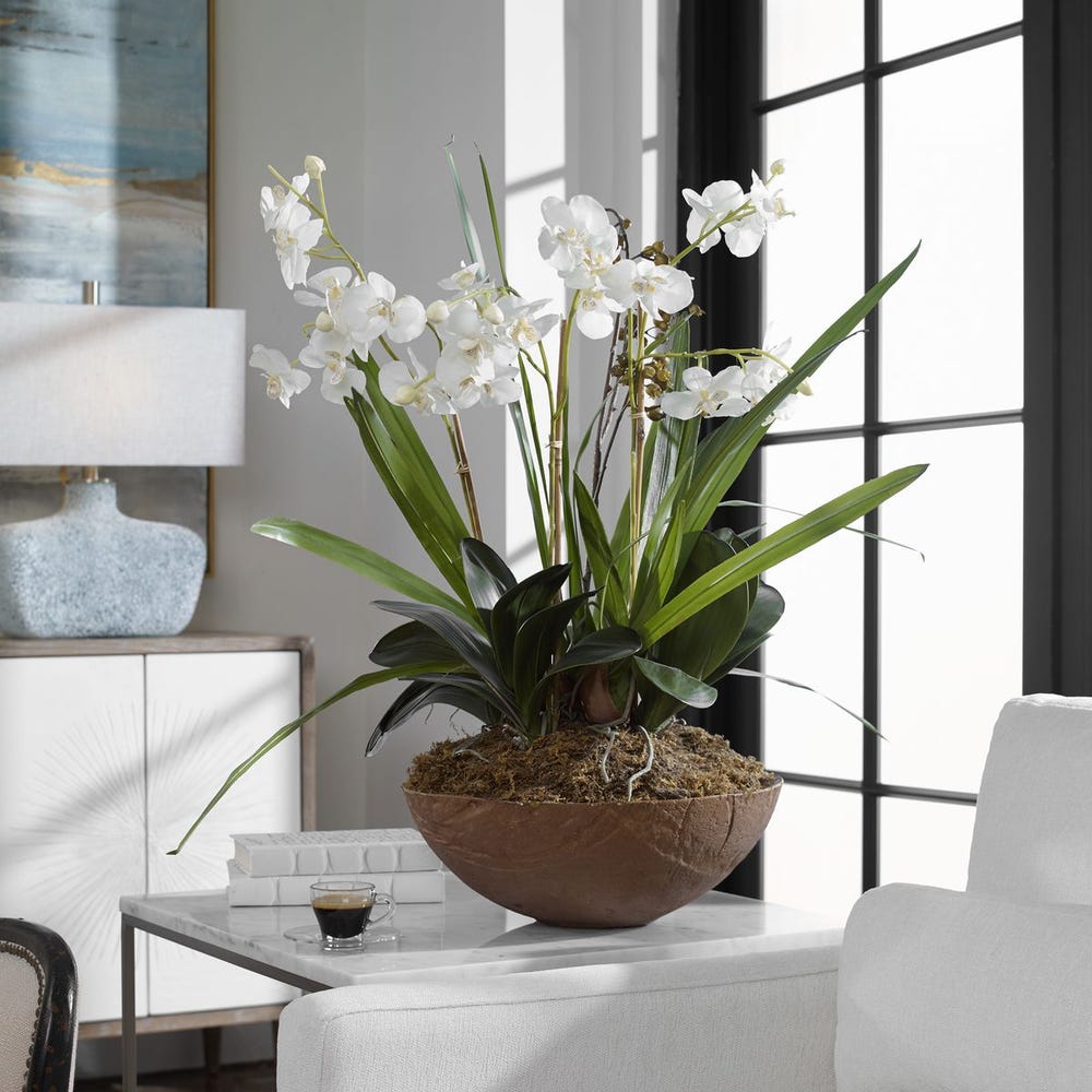 Moth Orchid Planter | In Shoppe Pickup Only