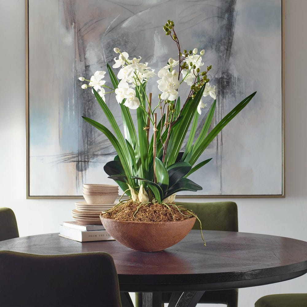 Moth Orchid Planter | In Shoppe Pickup Only