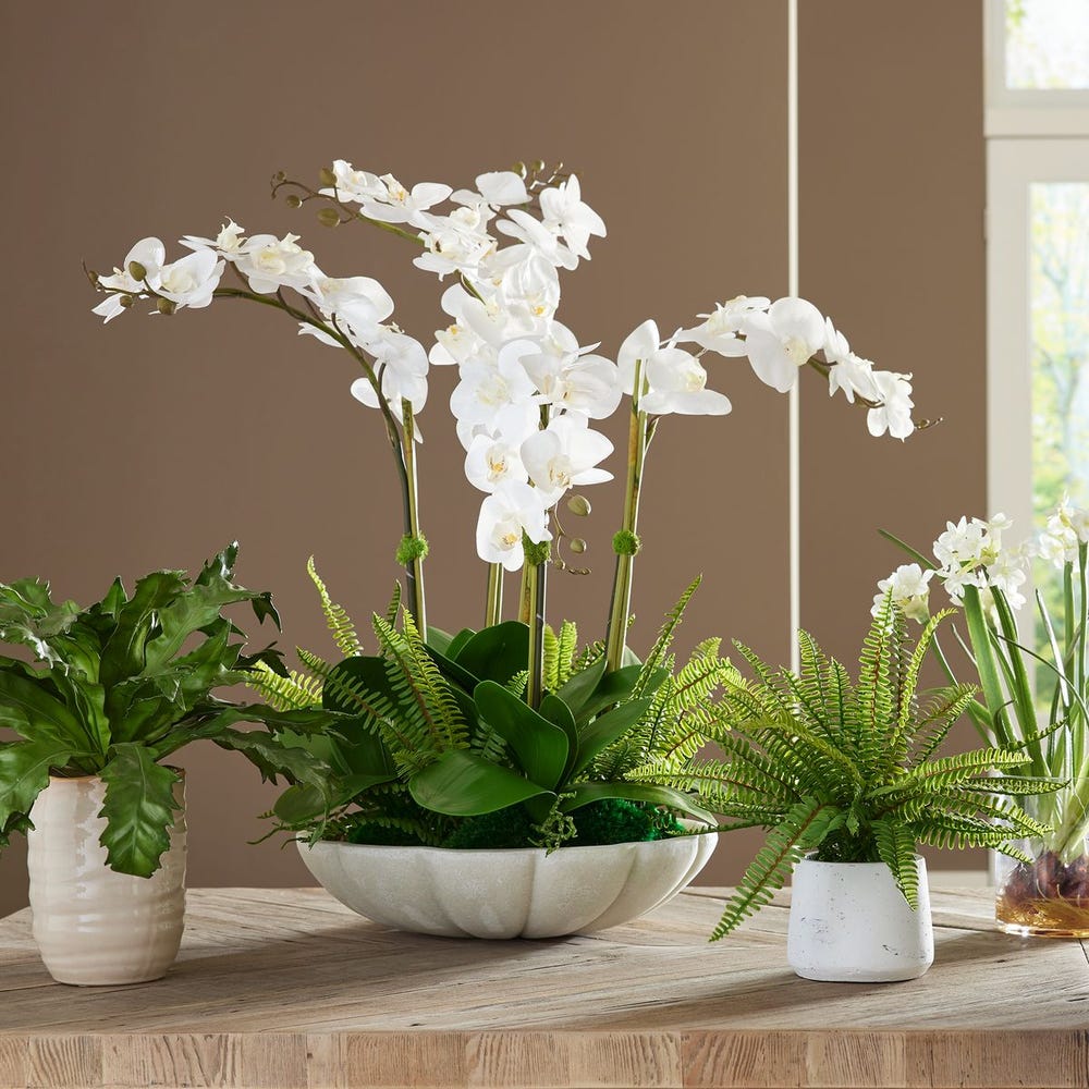 Flourish Orchid Centerpiece | In Shoppe Pickup Only