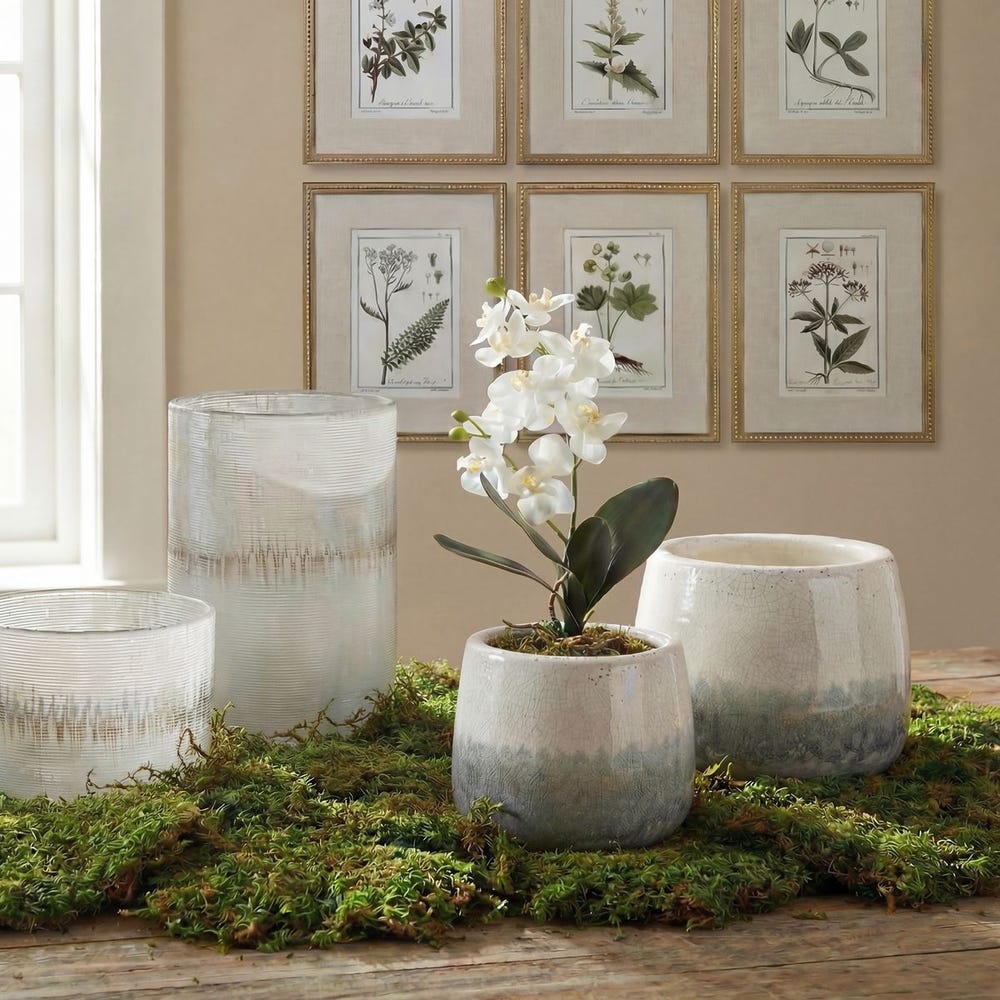 Laris Orchid Drop-In | In Shoppe Pickup Only