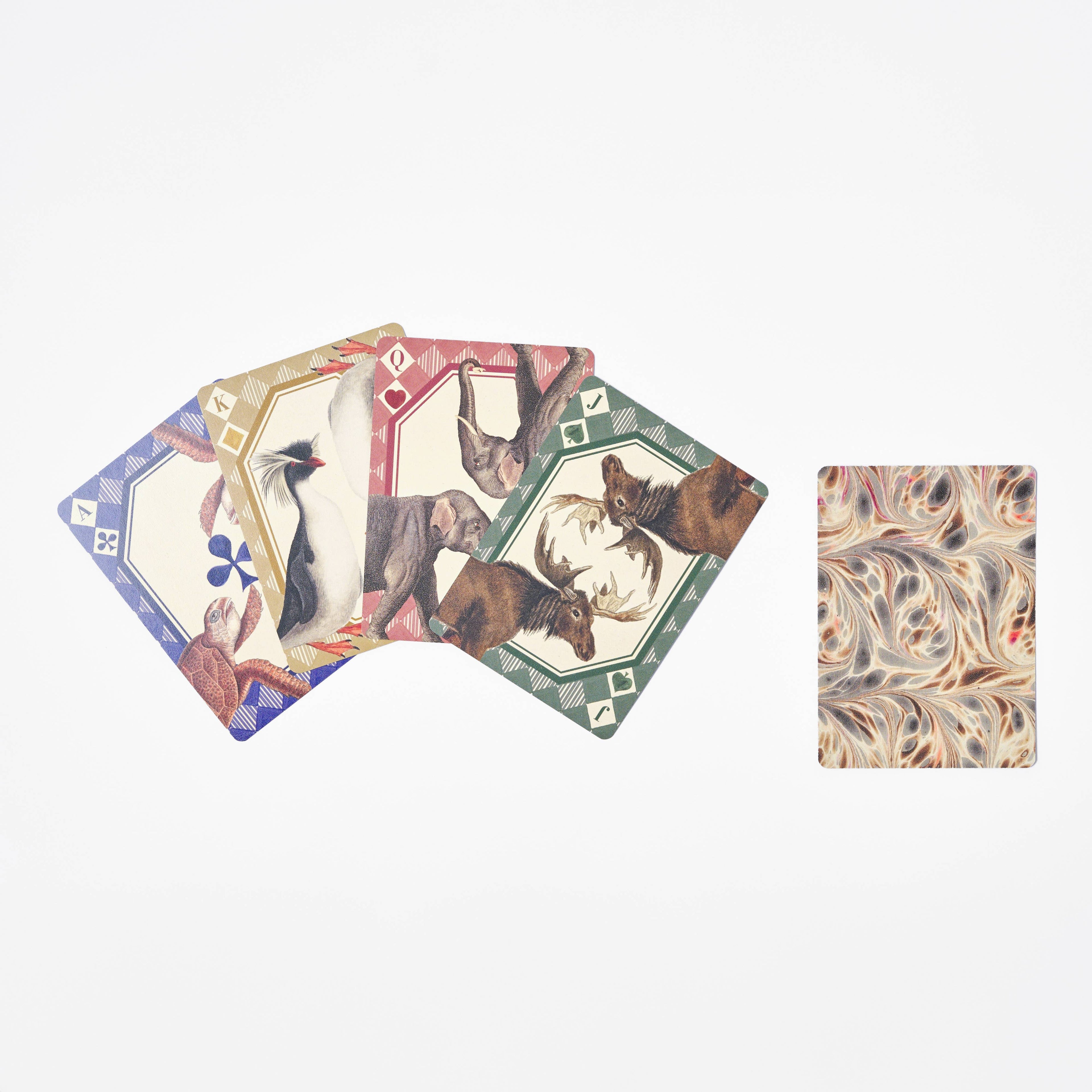 Playing Card Deck | Animal Kingdom