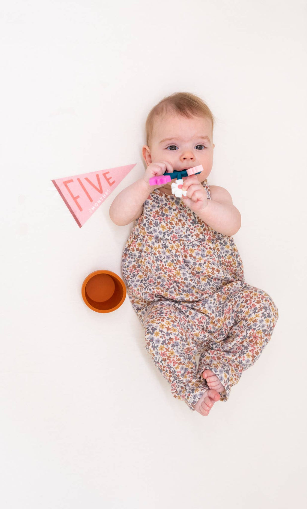 Blushing Meadow Baby Milestone Pennant