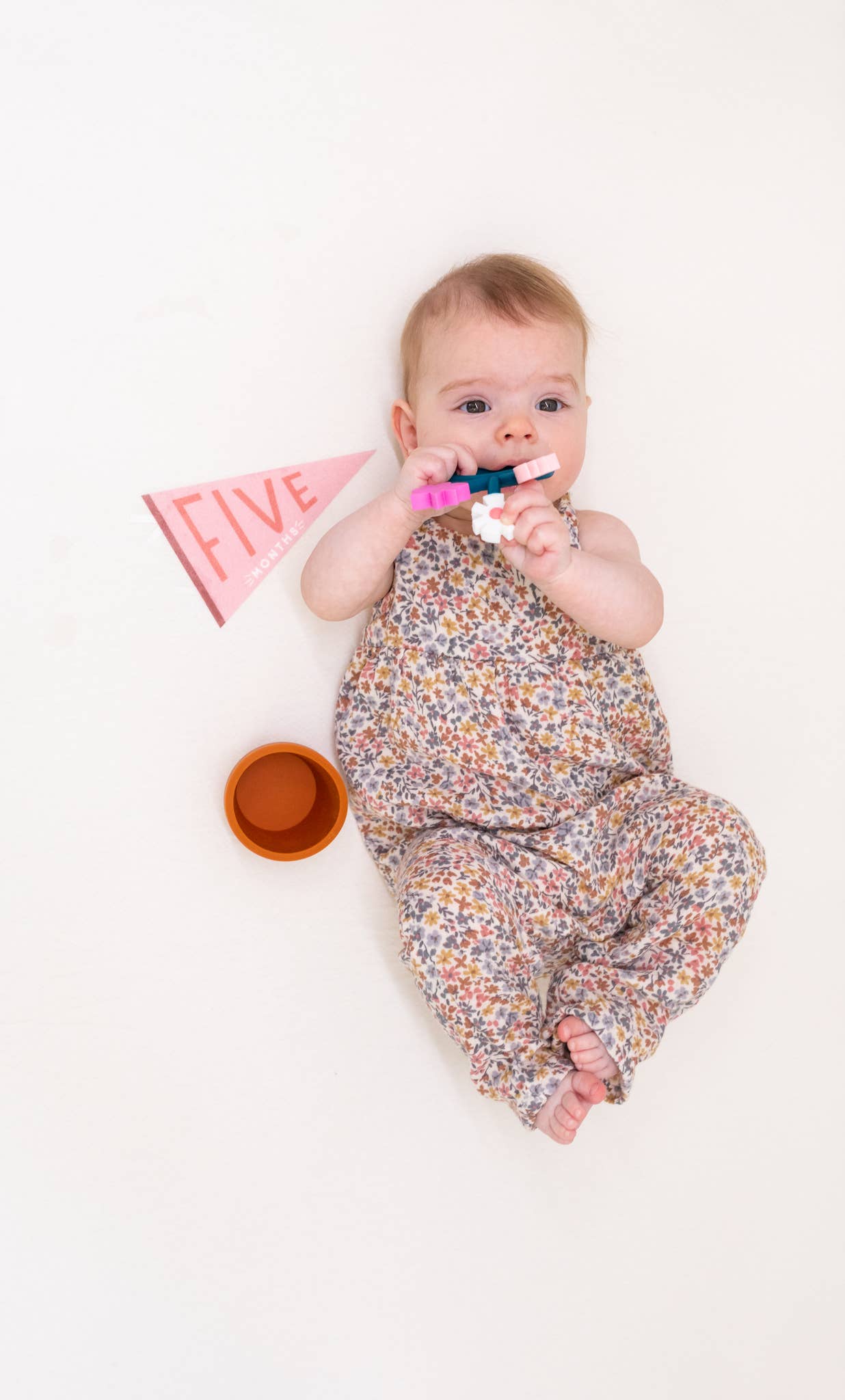 Blushing Meadow Baby Milestone Pennant