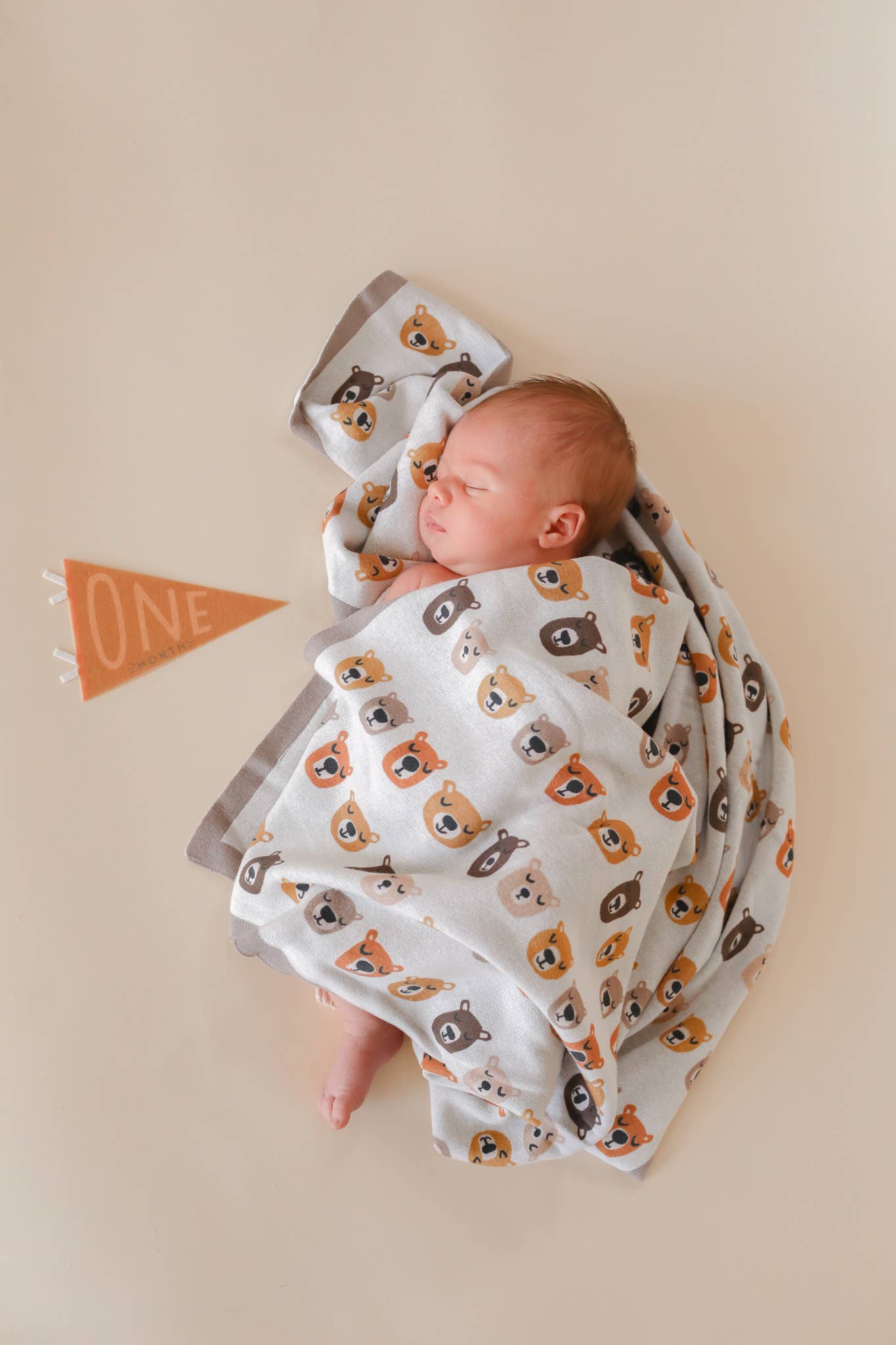 Mountain Fields Baby Milestone Pennant