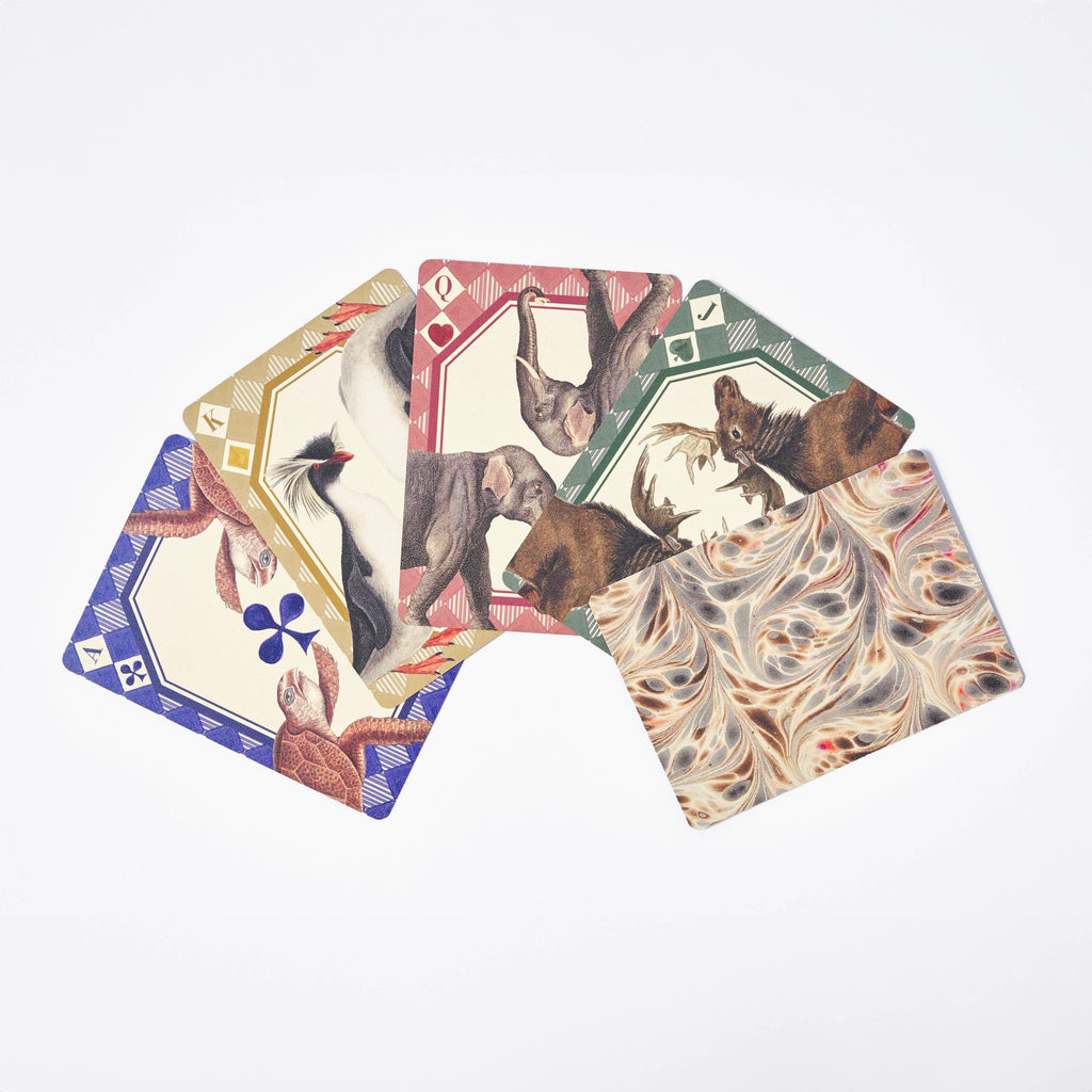 Playing Card Deck | Animal Kingdom
